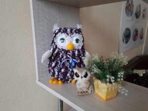 Сова - символ сиделки